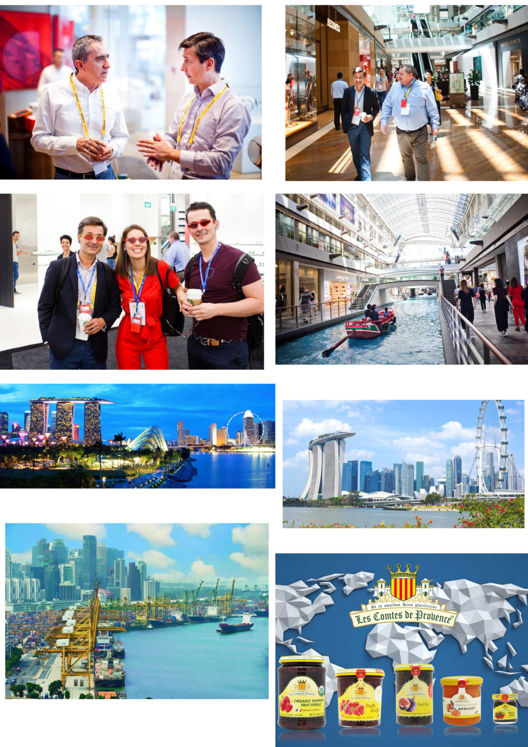 Mission Bpi France à Singapour Agro'Novae, Agence Commerciale et Marketing Agroalimentaire